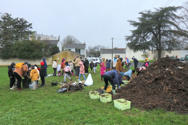 Plantation d’une haie champêtre ​ Quartier des Couronneries à Poitiers